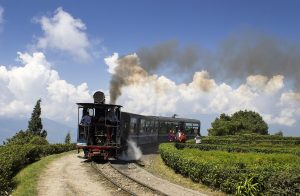 darjeeling view