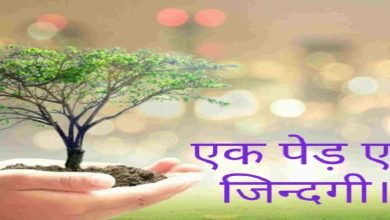 Tree Plantation is Very Important to save our environment