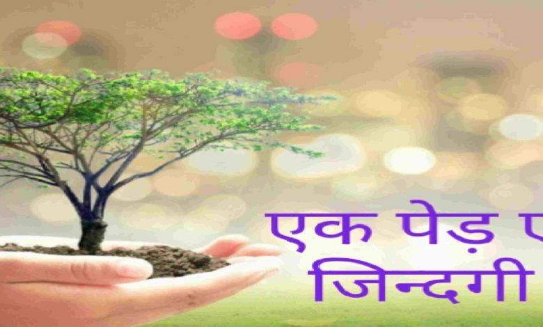 Tree Plantation is Very Important to save our environment