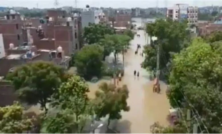 Munak Canal in Delhi