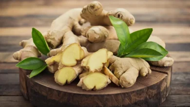 Powerful Benefits of Ginger