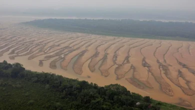 Water Scarcity in the Amazon