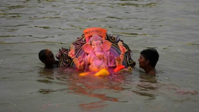 Story Behind Ganesh Visarjan