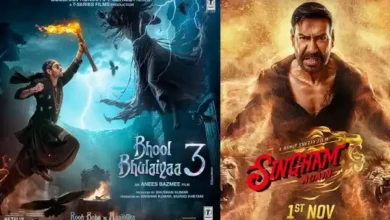 Singham Again vs Bhool Bhulaiyaa 3